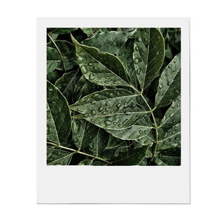 How to raise your awareness and consciousness in making the best choice in your everyday makeup Amaterasu Beauty