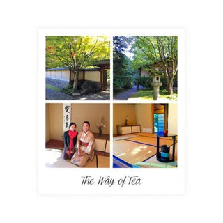 The Way of Tea, Matcha with Amaterasu