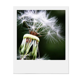 How to manage allergenic makeup with low histamine food Dr Janice Joneja